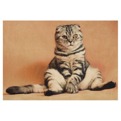 Funny scottish-fold - paws OFF Wood Poster