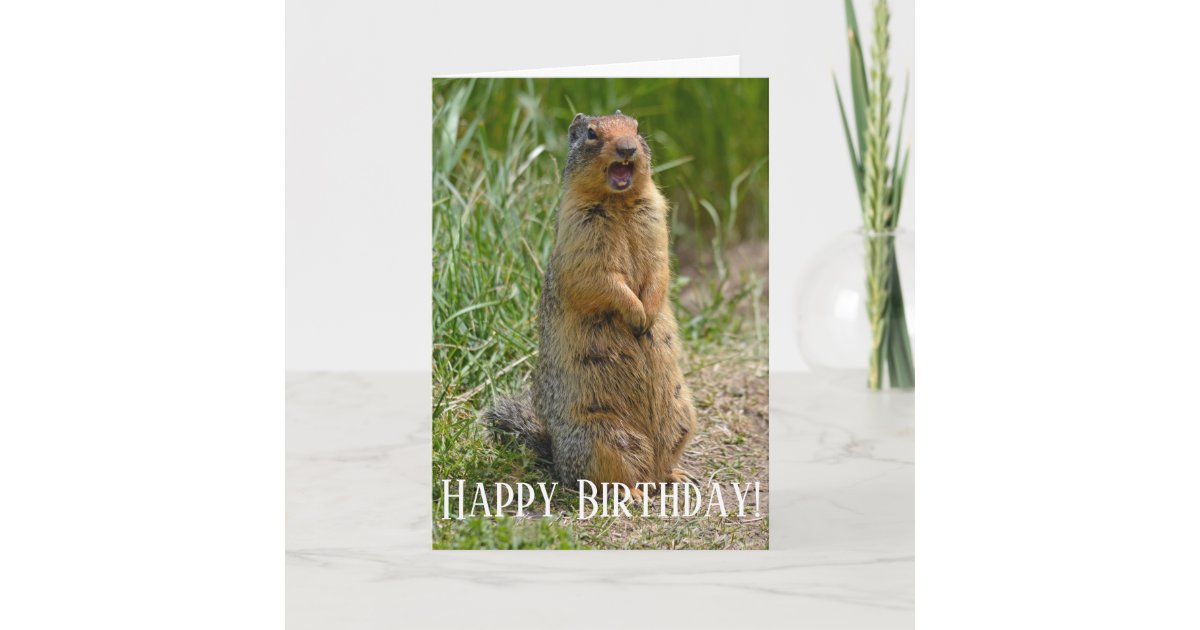 Funny Screaming Gopher Card Zazzle 6888