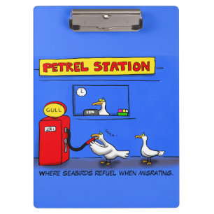 Funny sea gulls petrel cartoon humor clipboard