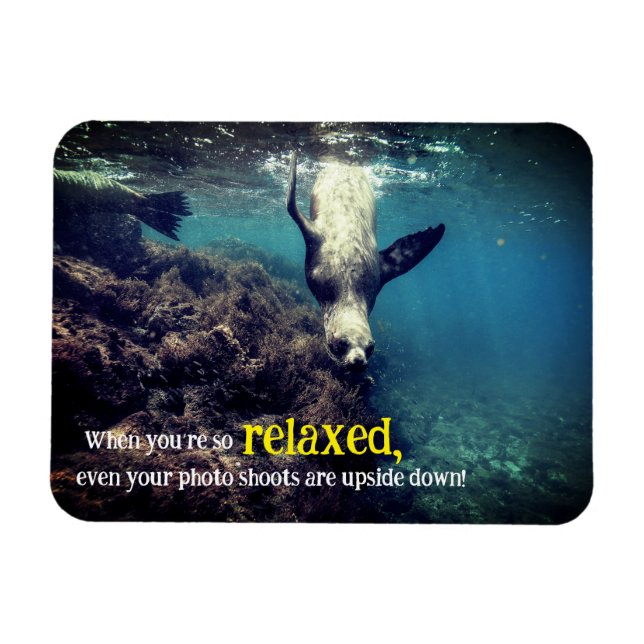 Funny sea lion underwater  magnet (Horizontal)