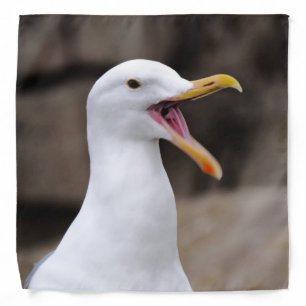 FUNNY Seagull Bandana