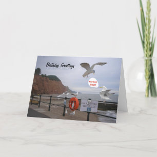 Funny seagull birthday card, customizable card