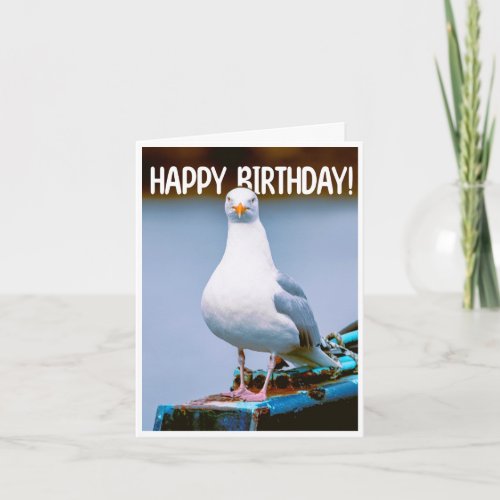 Funny Seagull Card