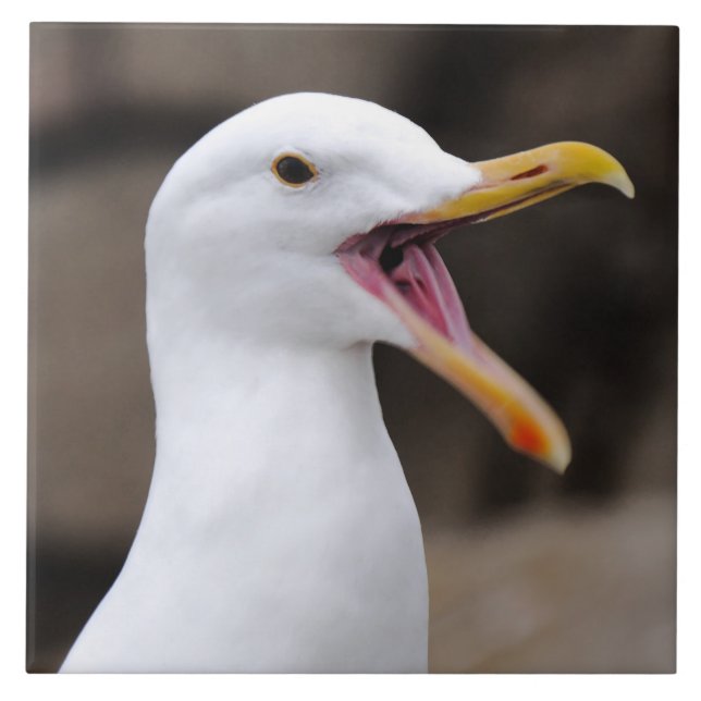 FUNNY Seagull Ceramic Tile (Front)