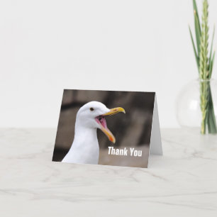 FUNNY Seagull  Letterpress Thank You Card