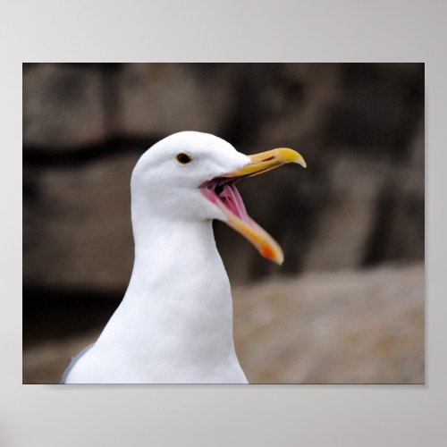 FUNNY Seagull Poster
