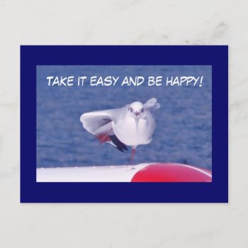 Funny Seagull Take It Easy Postcard by stdjura at Zazzle