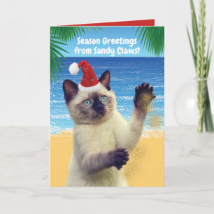 Funny Season's Greetings from "Sandy Claws" Cat Holiday Card