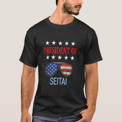 Funny Seitai Healing Accessories _ Usa Flag Therap T_Shirt