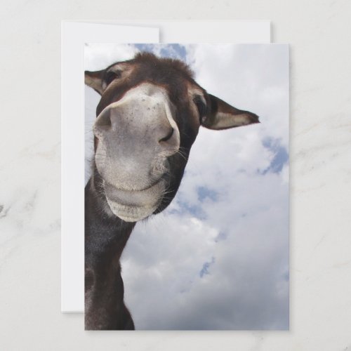 merry Eselei Custom Invite