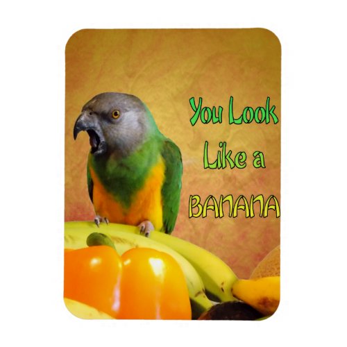 Funny Senegal Parrot Banana Magnet