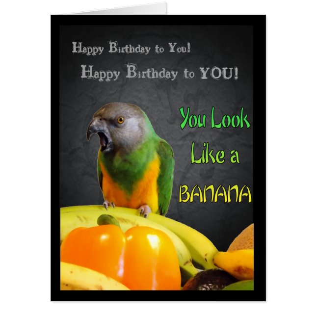 Funny Senegal Parrot Big Birthday Card (Front)