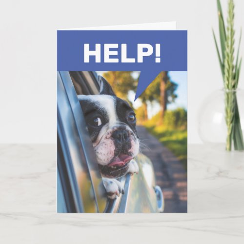 Funny Senior Driving Car Terrified Dog Passenger Card
