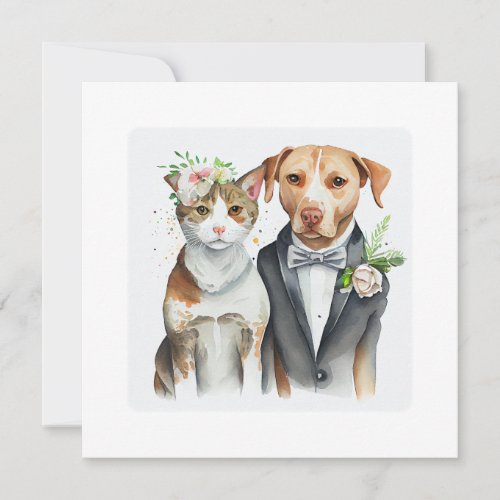 funny serious cat and dog weding watercolor  