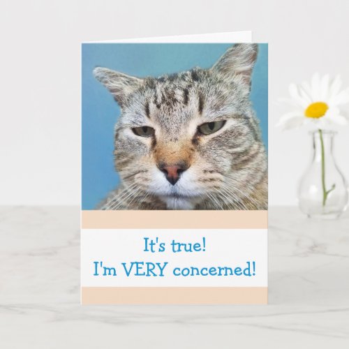 Funny Serious Worried Cat Get Well Card