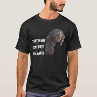 Funny Setter Black Gordon Meme You Forgot Homework T-Shirt
