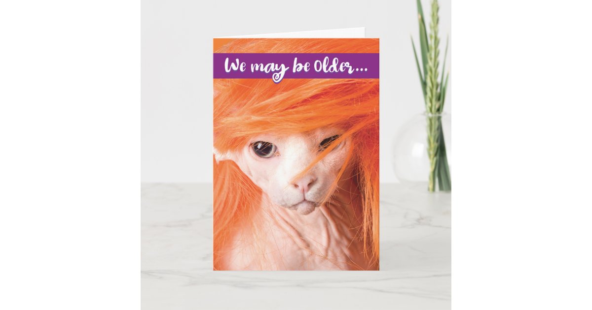 Funny Sexy Old Cat Birthday Card For Older Women Zazzle Com
