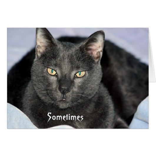 Funny Shake My Head card (Front Horizontal)