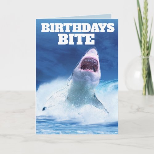 FUNNY SHARK BIRTHDAY CARDS BIRTHDAYS BITE