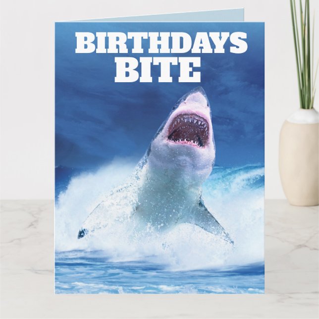 FUNNY SHARK BIRTHDAY greeting cards (Front)
