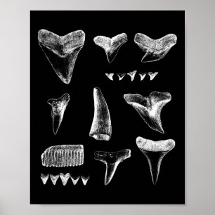 Funny Shark Teeth Design For Men Women Shark Teeth Poster