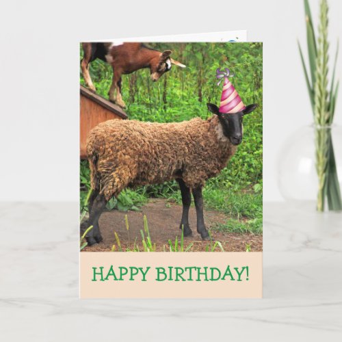 Funny Sheep And Goat Birthday Card