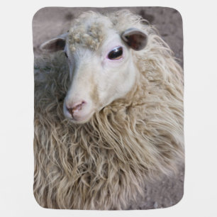 Funny Sheep Baby Blanket