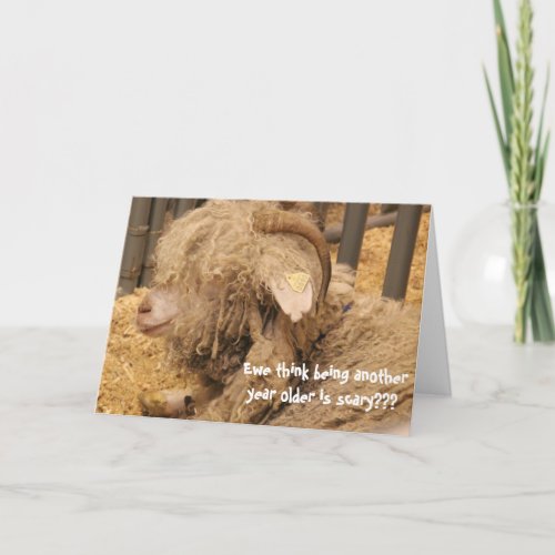 Funny Sheep Birthday Old Bad Hair Day Card