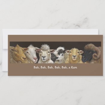 Funny Sheep Card by vickisawyer at Zazzle