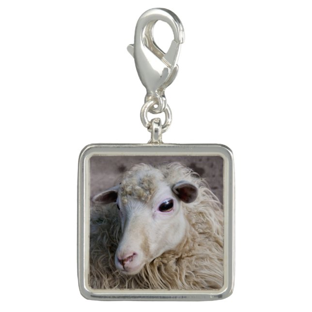 Funny Sheep Charm (Front)