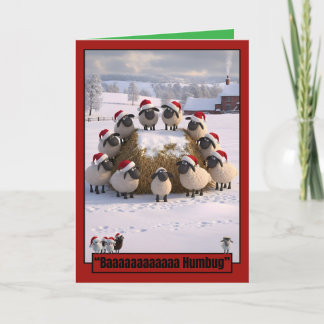 Funny sheep Christmas card