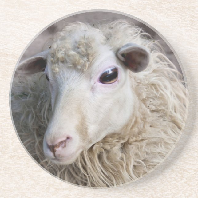 Funny Sheep Drink Coaster (Front)