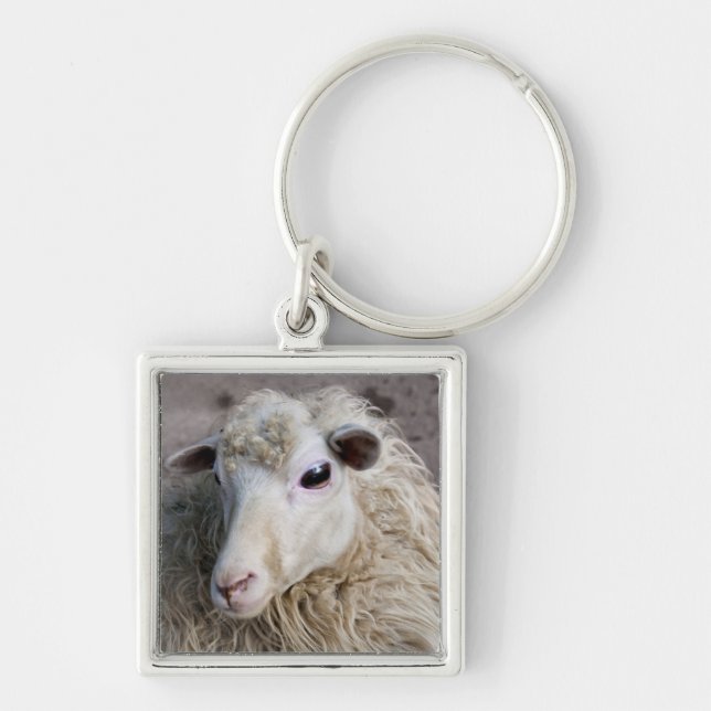 Funny Sheep Keychain (Front)