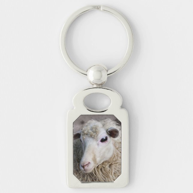 Funny Sheep Keychain (Front)