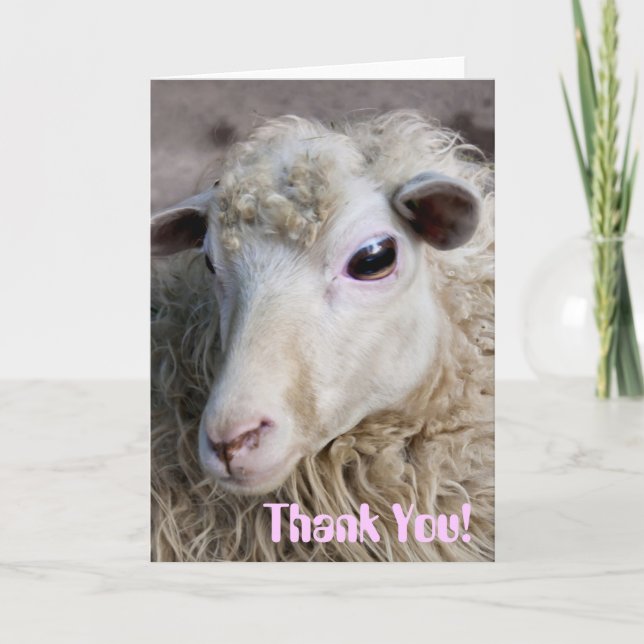 Funny Sheep Letterpress Thank You Card (Front)