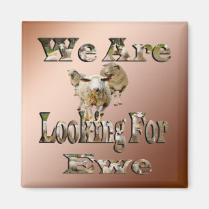 Funny Sheep Pun Looking For Ewe, Fridge Magnet