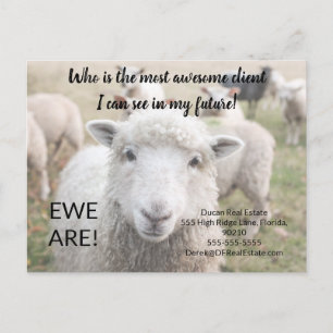 Funny Sheep Real Estate Referral Card Ewe