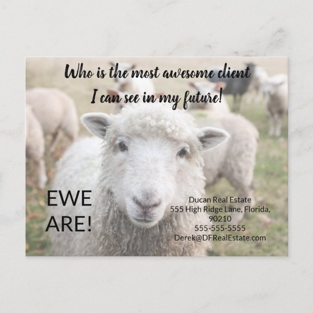 Funny Sheep Real Estate Referral Card Ewe (Front)
