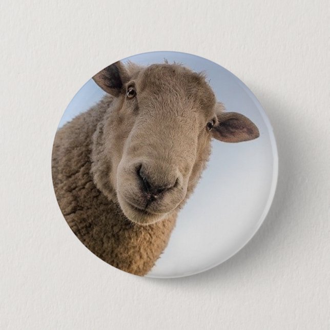 Funny sheep selfie button (Front)