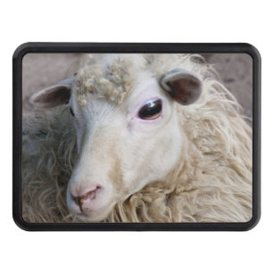 Funny Sheep Trailer Hitch Cover