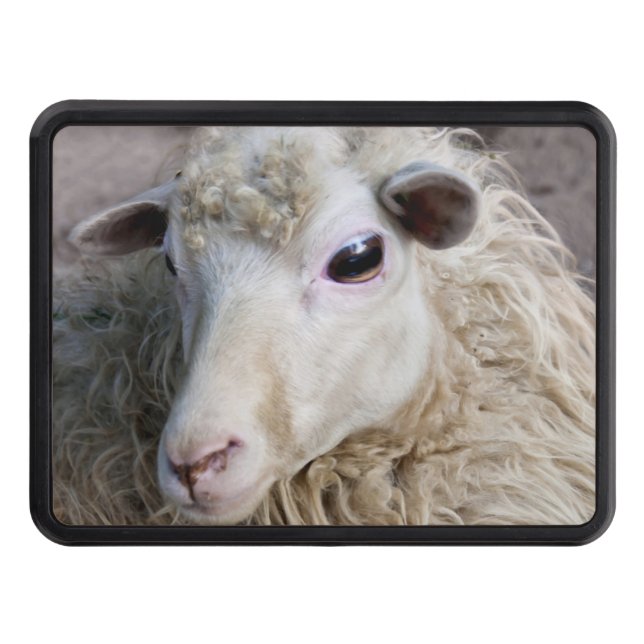Funny Sheep Trailer Hitch Cover (Front)