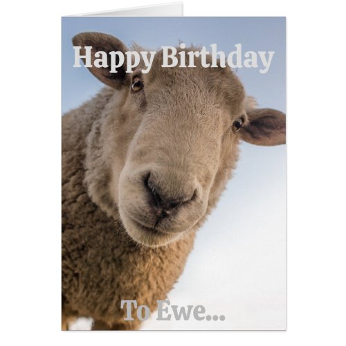 Funny Sheep Versatile Personalisable Birthday Card