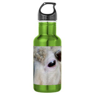 Funny Sheep Water Bottle