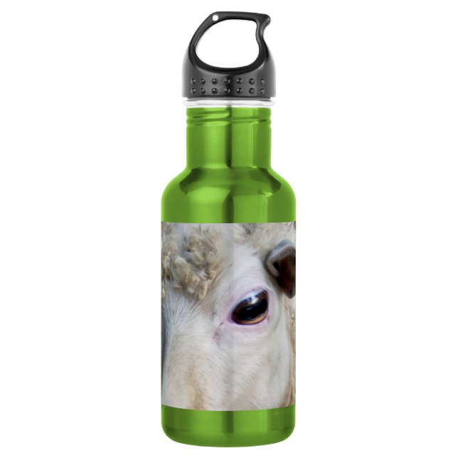 Funny Sheep Water Bottle (Front)
