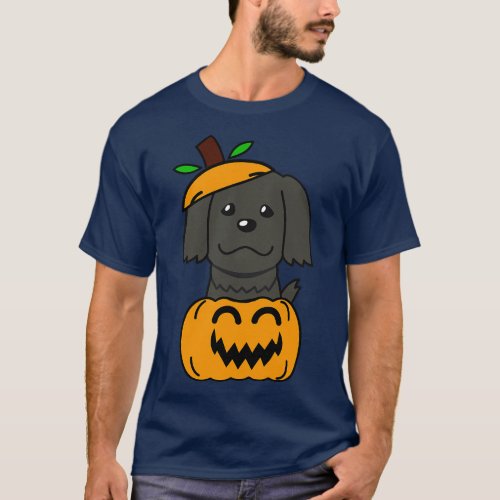 Funny Sheepdog is in a pumpkin T_Shirt