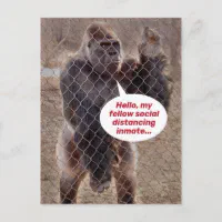 https://rlv.zcache.com/funny_shelter_in_place_gorilla_jail_inmate_postcard-r2607bbe133914649bfe919309d989948_ucbjp_200.webp