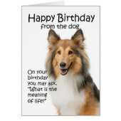 Funny Sheltie Birthday Card (Front)