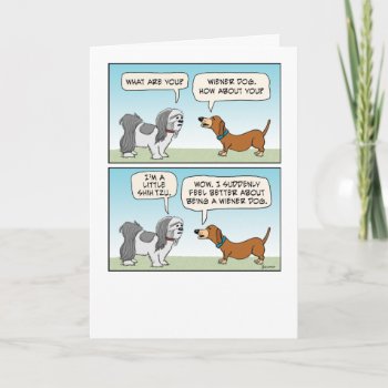 Funny Shih Tzu And Wiener Dog Birthday Card by chuckink at Zazzle