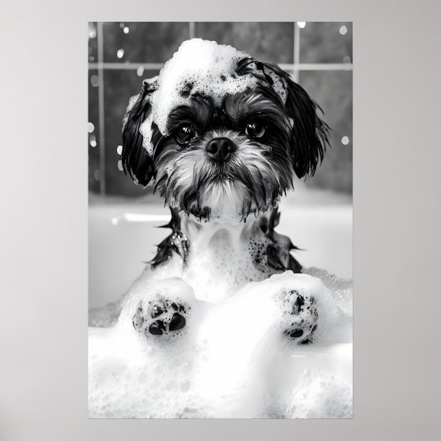 Funny Shih Tzu Bubble Bath Photograph, Dog Poster (Front)