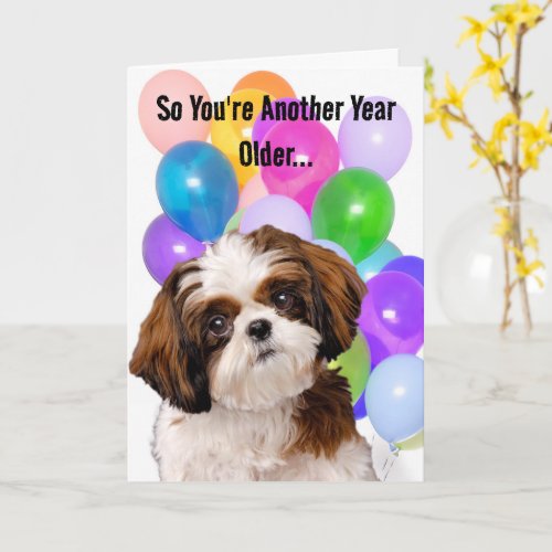 Funny Shih Tzu Dog Getting Older Birthday Card